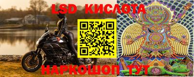 шишки Иваново