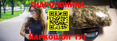 шишки Иваново