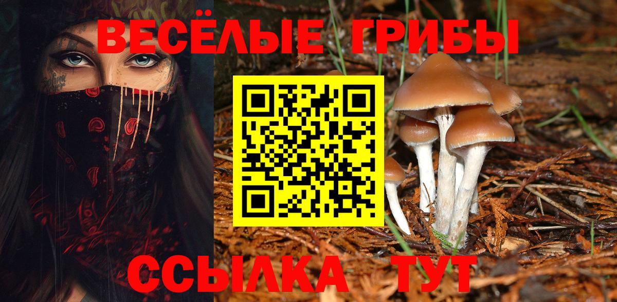 Псилоцибиновые грибы мухоморы Набережные Челны